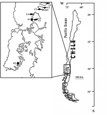 Occurrence of Transferable Integrons and sul and dfr Genes Among Sulfonamide-and/or Trimethoprim-Resistant Bacteria Isolated From Chilean Salmonid Farms